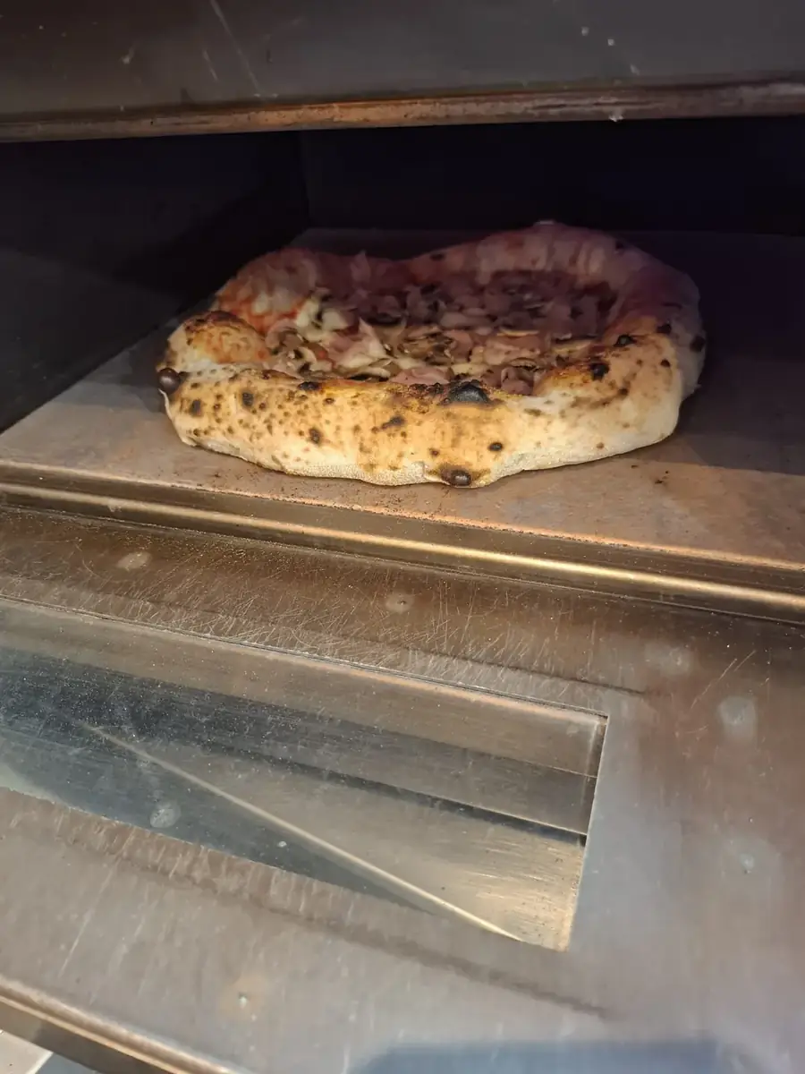Pečena pica v peči